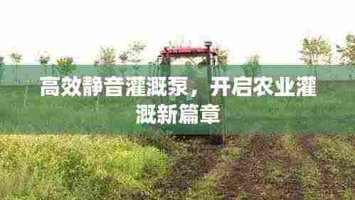 高效静音灌溉泵，开启农业灌溉新篇章