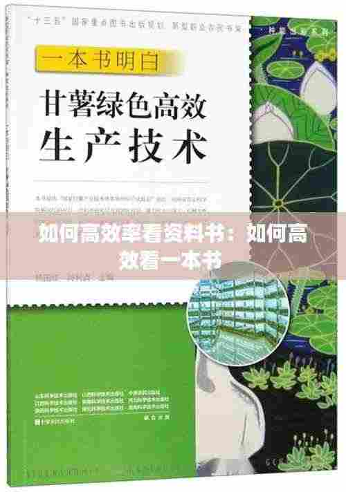 衣无二彩 第4页