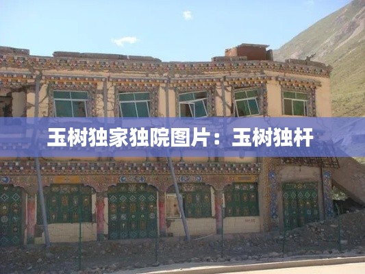 玉树独家独院图片:玉树独杆