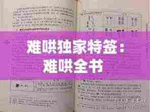 难哄独家特签：难哄全书 