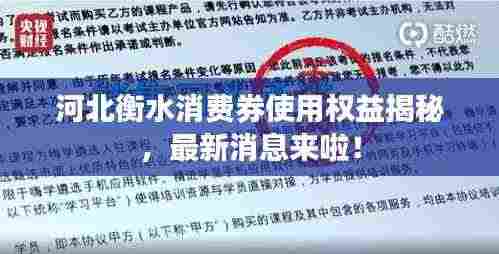 河北衡水消费券使用权益揭秘,最新消息来啦!