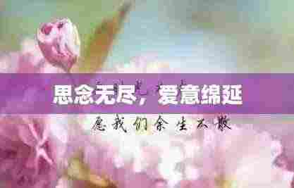 思念无尽,爱意绵延