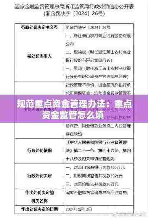 规范重点资金管理办法：重点资金监管怎么填 