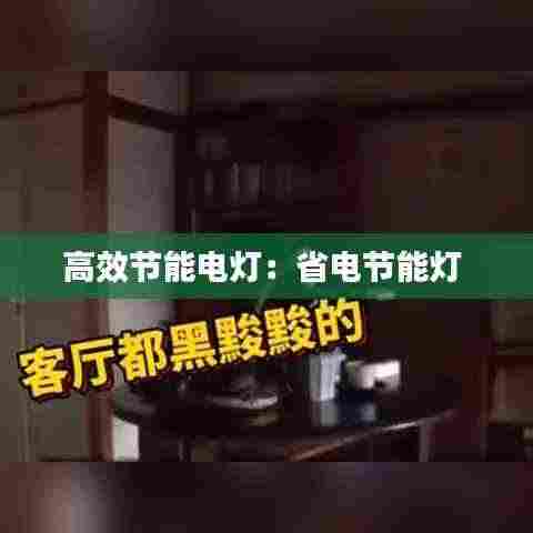 高效节能电灯:省电节能灯