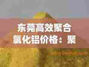 东莞高效聚合氯化铝价格：聚合氯化铝厂家排名 