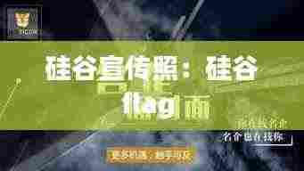 硅谷宣传照:硅谷flag