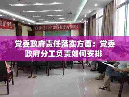 党委政府责任落实方面：党委政府分工负责如何安排 