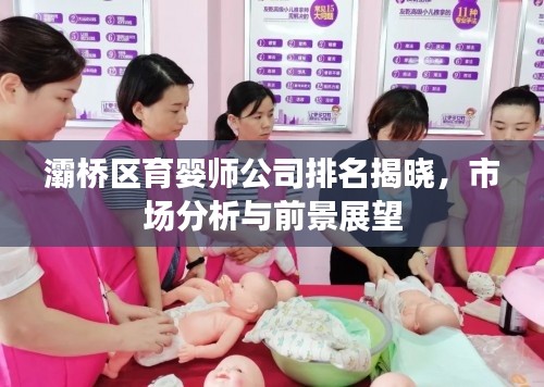 灞桥区育婴师公司排名揭晓，市场分析与前景展望