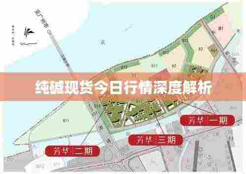 纯碱现货今日行情深度解析