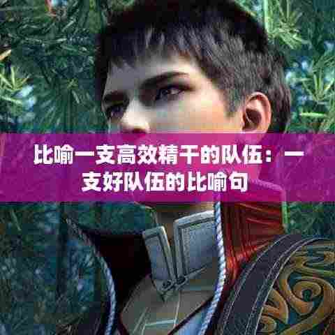 比喻一支高效精干的队伍:一支好队伍的比喻句