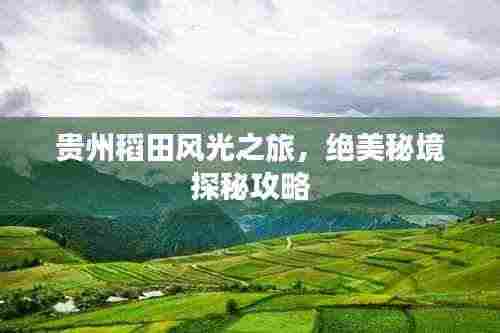 贵州稻田风光之旅,绝美秘境探秘攻略