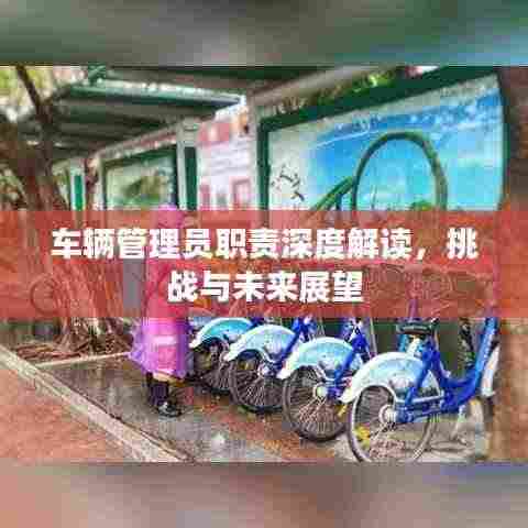 车辆管理员职责深度解读,挑战与未来展望