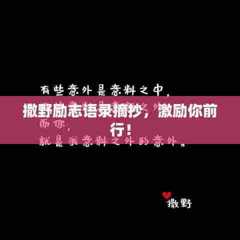 撒野励志语录摘抄,激励你前行!