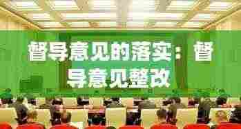 督导意见的落实:督导意见整改