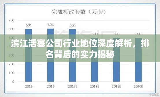 滨江活塞公司行业地位深度解析,排名背后的实力揭秘