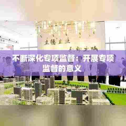 不断深化专项监督:开展专项监督的意义