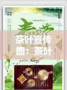 茶叶宣传图:茶叶宣传图报
