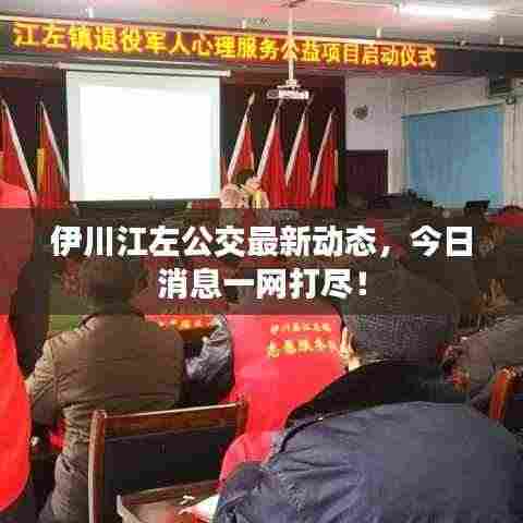 伊川江左公交最新动态,今日消息一网打尽!