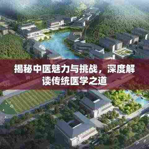 揭秘中医魅力与挑战，深度解读传统医学之道