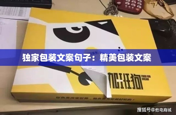 独家包装文案句子:精美包装文案
