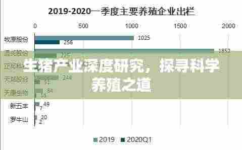 生猪产业深度研究，探寻科学养殖之道
