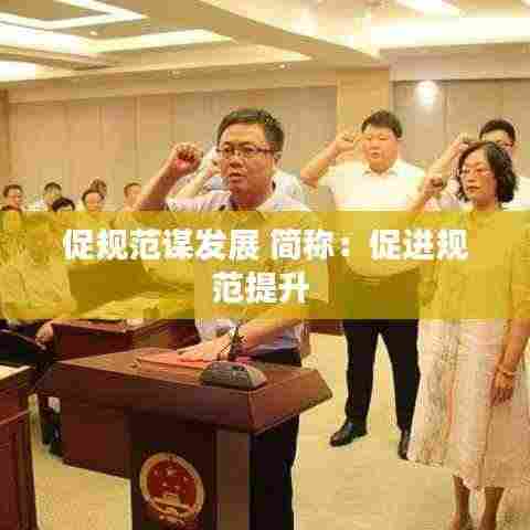 促规范谋发展 简称:促进规范提升