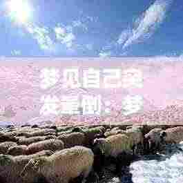 梦见自己突发晕倒:梦见自己晕倒了又醒了是什么意思