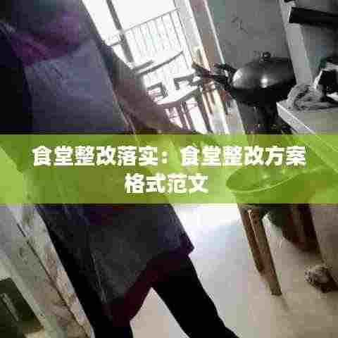 食堂整改落实:食堂整改方案格式范文