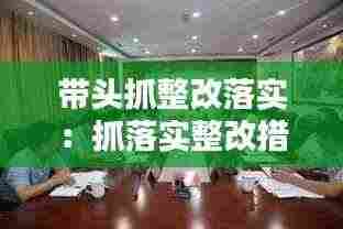 带头抓整改落实：抓落实整改措施 