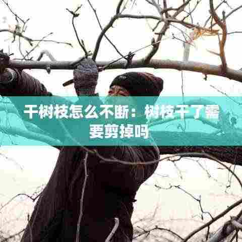 干树枝怎么不断：树枝干了需要剪掉吗 