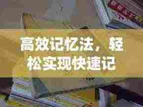 高效记忆法,轻松实现快速记忆