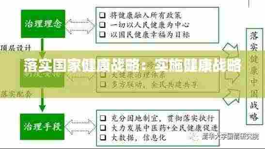 落实国家健康战略:实施健康战略