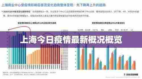 上海今日疫情最新概况概览