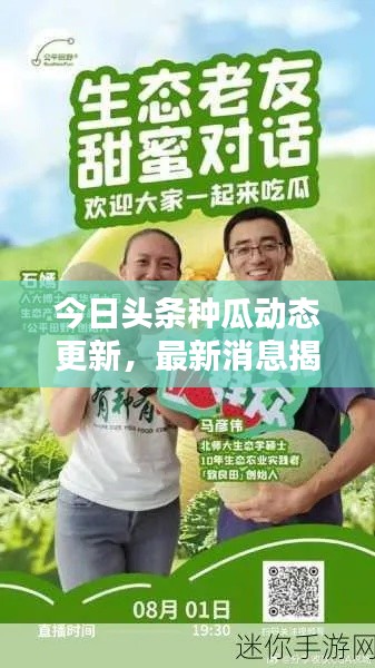 今日头条种瓜动态更新,最新消息揭秘