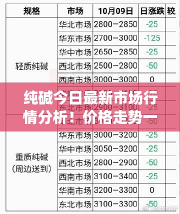纯碱今日最新市场行情分析!价格走势一网打尽!