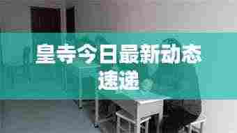 皇寺今日最新动态速递