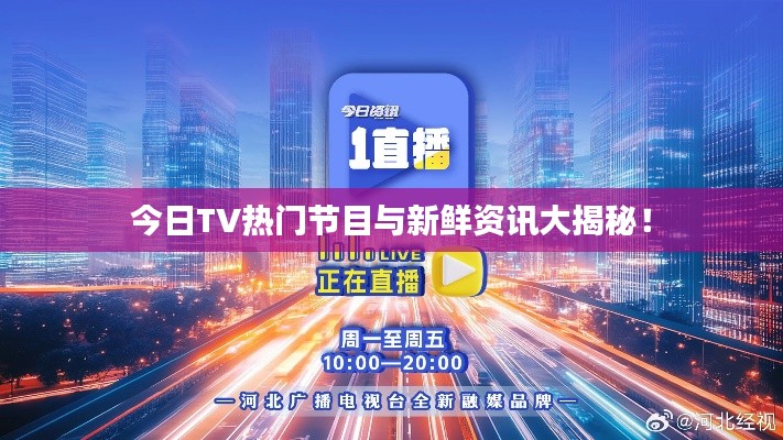 今日TV热门节目与新鲜资讯大揭秘！