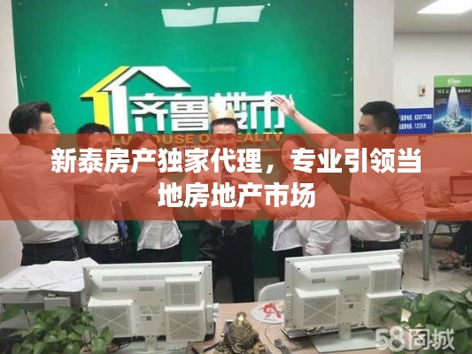 新泰房产独家代理,专业引领当地房地产市场