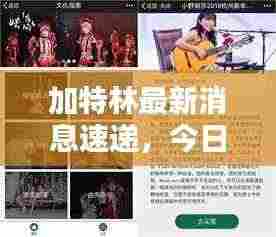 加特林最新消息速递，今日动态一网打尽！