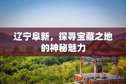 辽宁阜新,探寻宝藏之地的神秘魅力