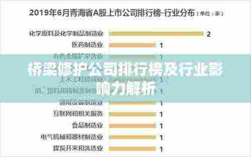 桥梁修护公司排行榜及行业影响力解析