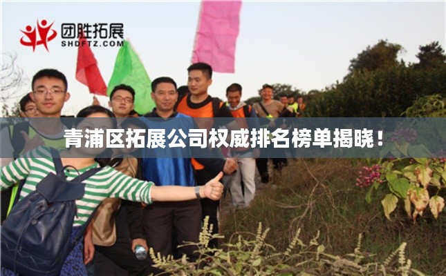 青浦区拓展公司权威排名榜单揭晓！