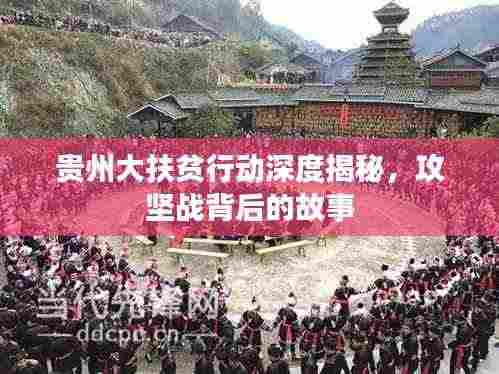 贵州大扶贫行动深度揭秘，攻坚战背后的故事