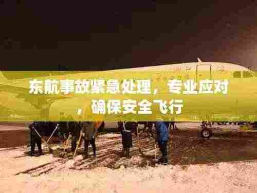 东航事故紧急处理,专业应对,确保安全飞行