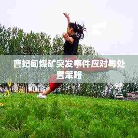 曹妃甸煤矿突发事件应对与处置策略