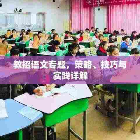 教招语文专题，策略、技巧与实践详解