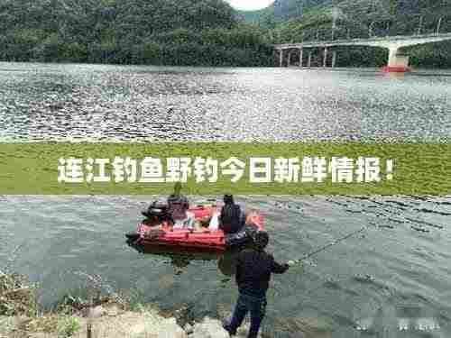 连江钓鱼野钓今日新鲜情报!