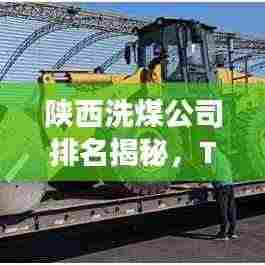 陕西洗煤公司排名揭秘,TOP10榜单重磅出炉!