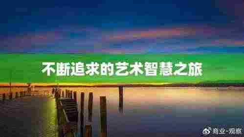 不断追求的艺术智慧之旅