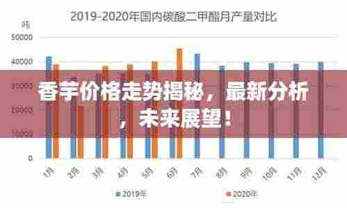 香芋价格走势揭秘，最新分析，未来展望！